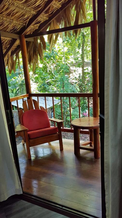 Hotel Bugabutik Puerto Viejo de Talamanca Exteriér fotografie