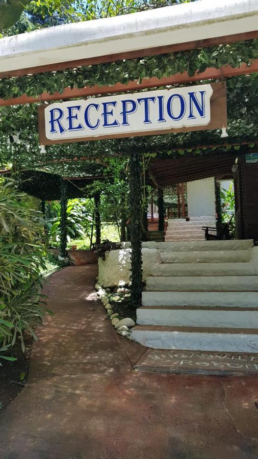 Hotel Bugabutik Puerto Viejo de Talamanca Exteriér fotografie